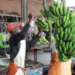 banana