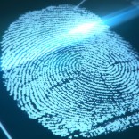 fingerprint