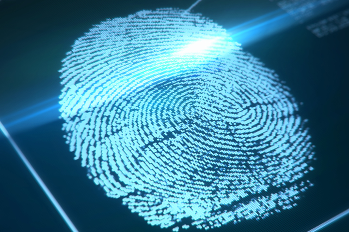 fingerprint