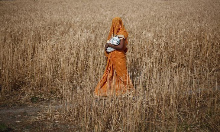 A woman carries her baby as she walks through a wheat field, in Amroha district in Uttar Pradesh April 17, 2014. REUTERS/Adnan Abidi/File Photo