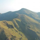 simandou