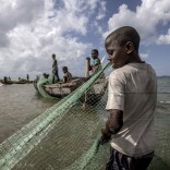 Fishermen gather seine nets from the water on the Ilha de Mafamede, Mozambique.