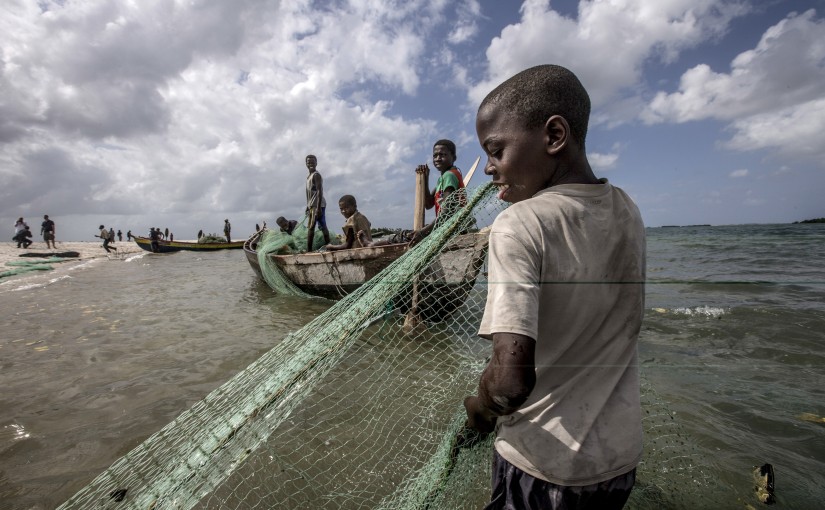 Fishermen gather seine nets from the water on the Ilha de Mafamede, Mozambique.