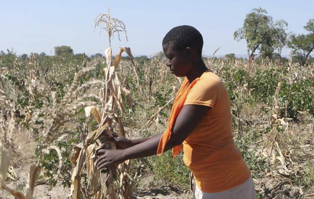 zimdrought