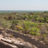 blog_southern-africa-deforestation