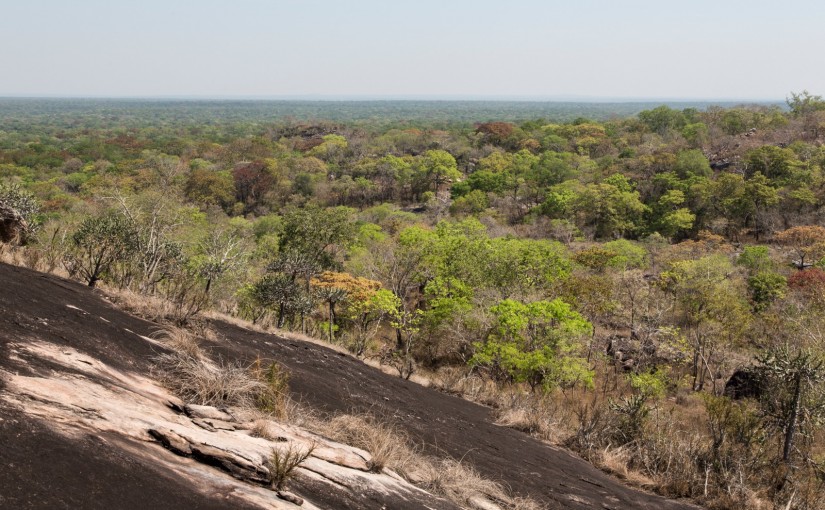blog_southern-africa-deforestation