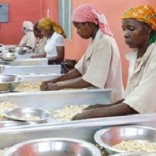 cashewworkers