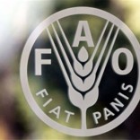 faologo