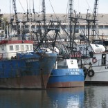 seafishingbeirawwf