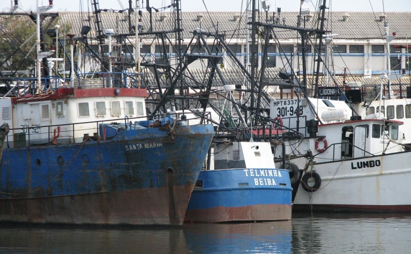 seafishingbeirawwf