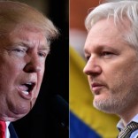 trumpassange