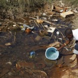zimtyphoid