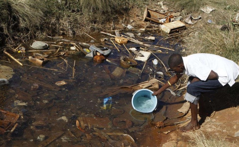 zimtyphoid