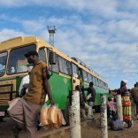 zimvendors