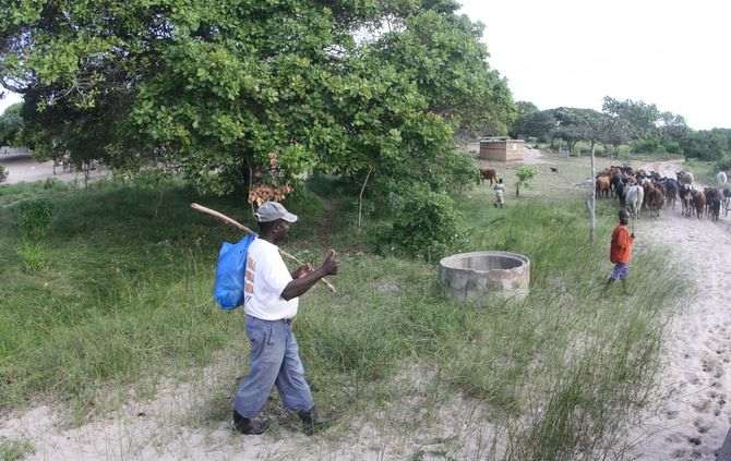 Agricultura (1)