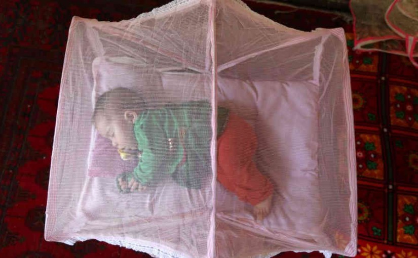 bednets