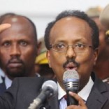 farmajo