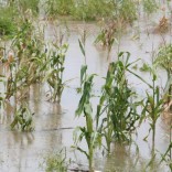floodsmachambagaza