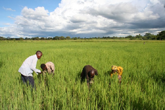 ruraldevelopment