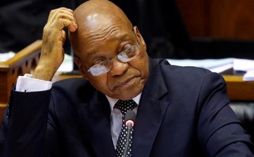 zumaworries