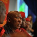 Julius-Malema-1-806x537