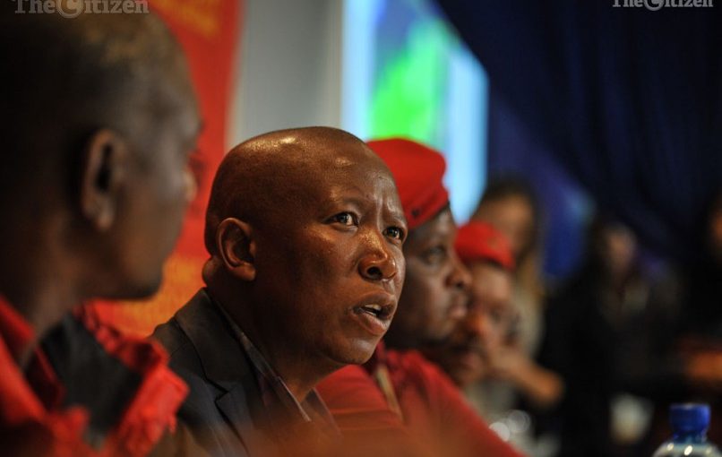 Julius-Malema-1-806x537
