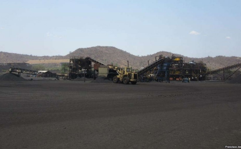 coalmozvoa