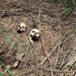 Human skulls suspected to belong to victims of a recent combat between government army and Kamuina Nsapu militia are seen on the roadside in Tshienke near Kananga, the capital of Kasai-central province of the Democratic Republic of Congo, March 12, 2017. REUTERS/Aaron Ross