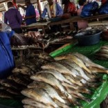 fishmarketmoz