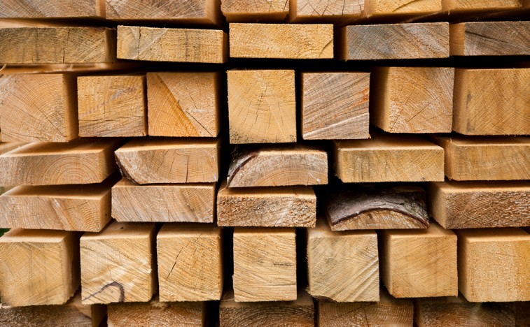 forestrymoz