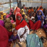 somaliaap