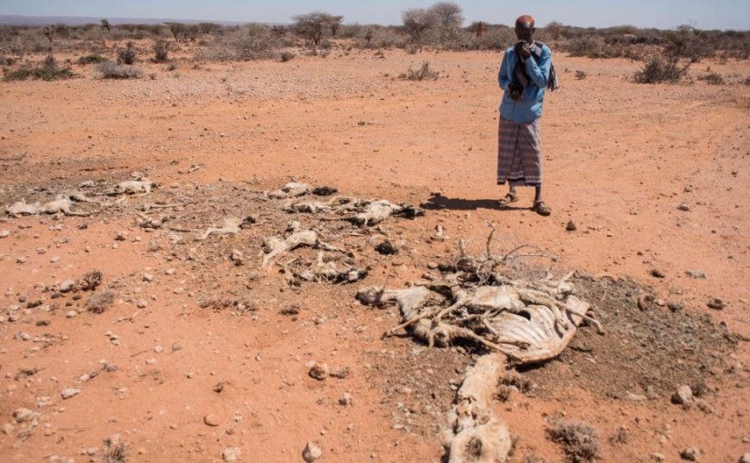 somaliadrought