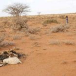 somalilanddrought
