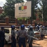 zimelections