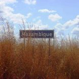 Mhoje_mozambiqueland_photo_jpg