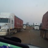 TRUCKS