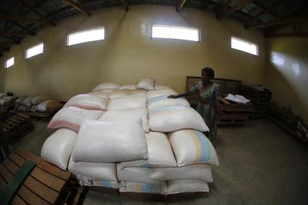 Subsistence farmer Salome Banda stands beside bags of her maize stacked in a warehouse north of Lilongwe, Malawi February 2, 2016.   REUTERS/Mike Hutchings
