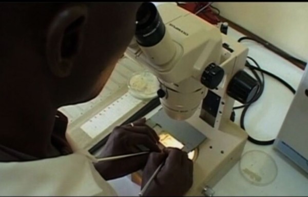 malaria.reuters