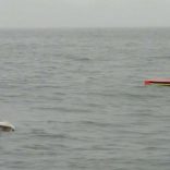 mh370.atsb
