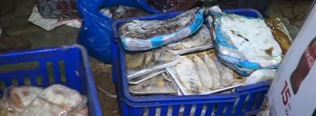 peixepodre