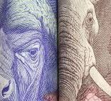rand,new
