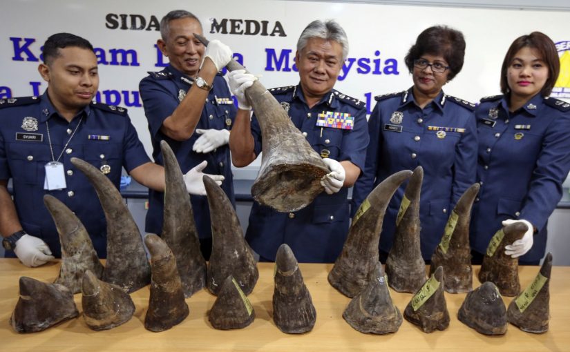 rhinohornsmalaysia