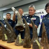 Kuala Lumpur International Airport (KLIA) customs director-general Hamzah Sundang (2nd R) poses with rhino horns that were seized on April 7 from Mozambique to Kuala Lumpur via Doha, during a news conference at the airport in Sepang, Malaysia April 10, 2017. REUTERS/Rozanna Latiff