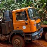 zambia.timber