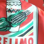 DNU_frelimo_source_africatoday_02102014