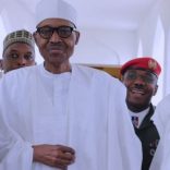 buhari.recent