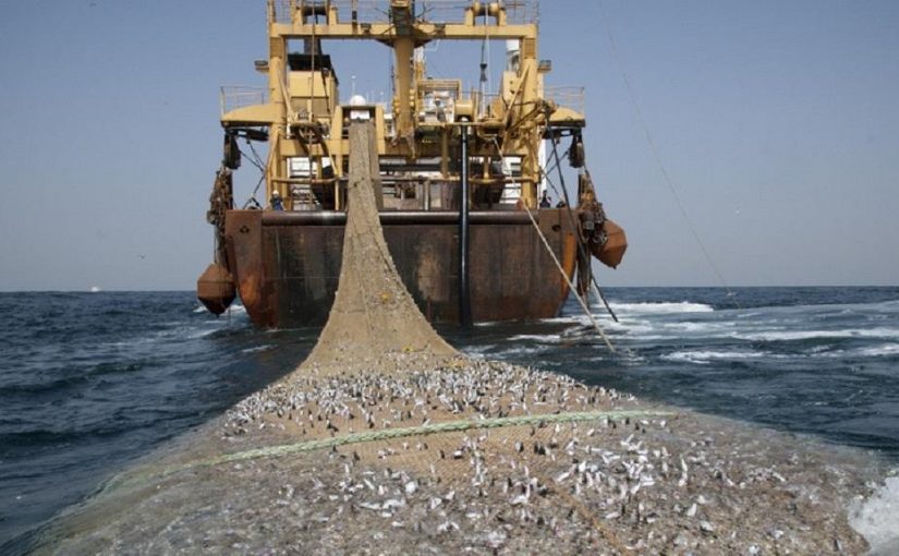 chinese.vessel.africanews
