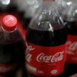 Bottles of Coca-Cola are seen in a Casino supermarket in Mouans Sartoux, France, October 27, 2016.    REUTERS/Eric Gaillard