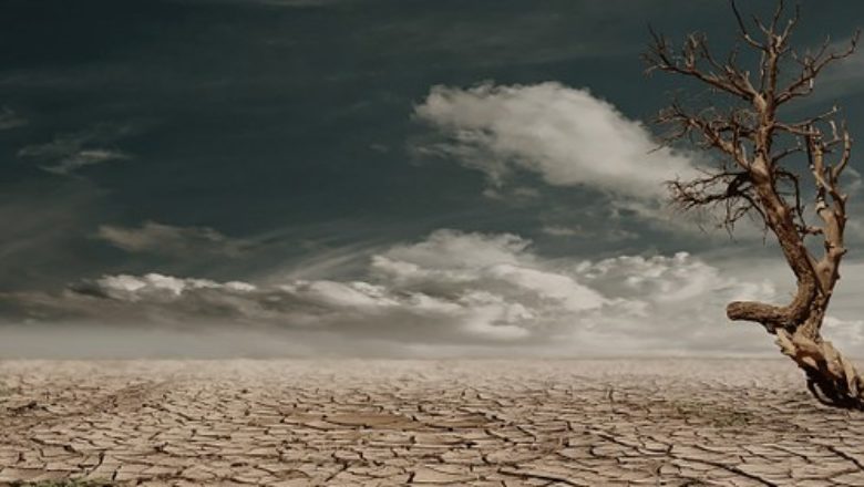 el.nino