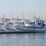 ematumboatsfm